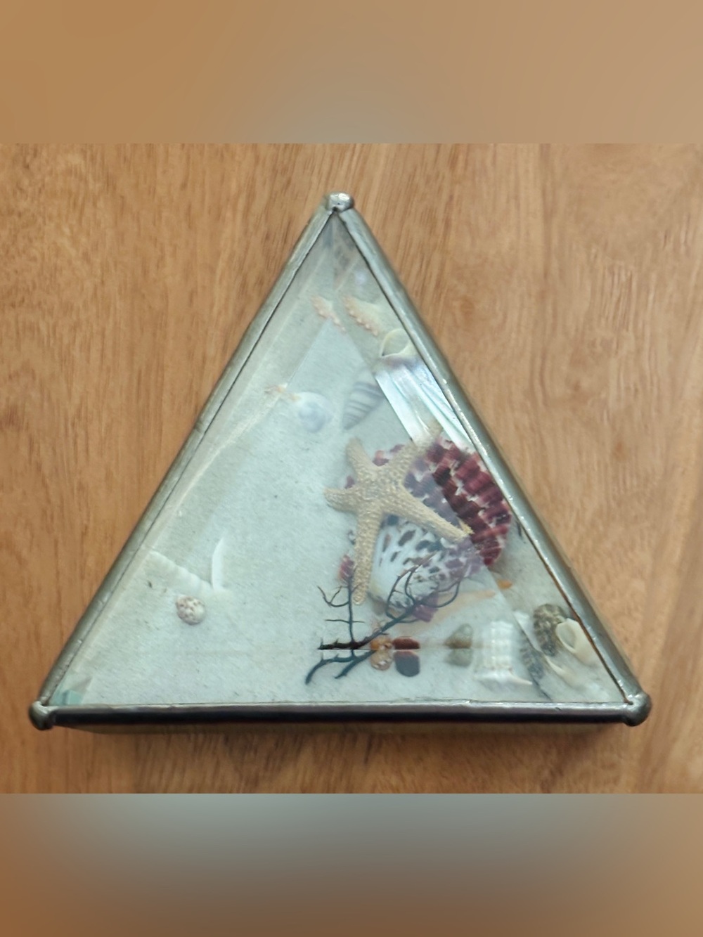 Ocean Seascape with Starfish and Shells ~ Sand Filled ~ Beach Décor